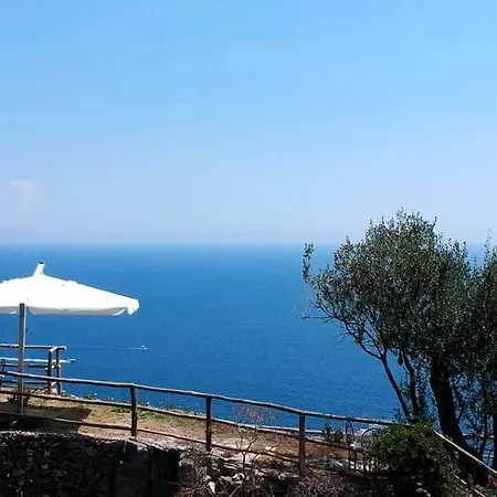 Shah Conca dei Marini